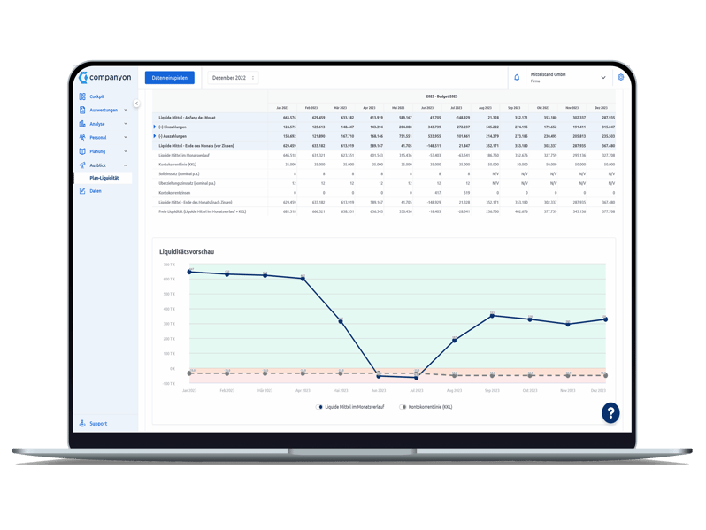 Companyon Controlling Software Plan-Liquidit 3_s
