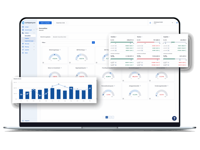 Companyon Controlling Software_Analyse Charts Grafik (Copy)